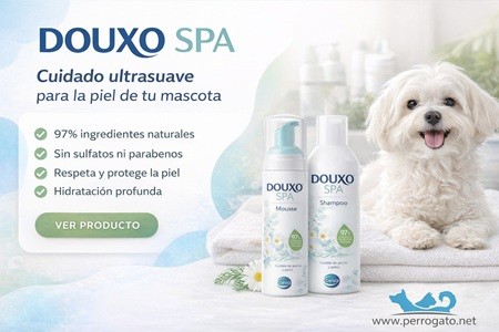 DOUXO SPA